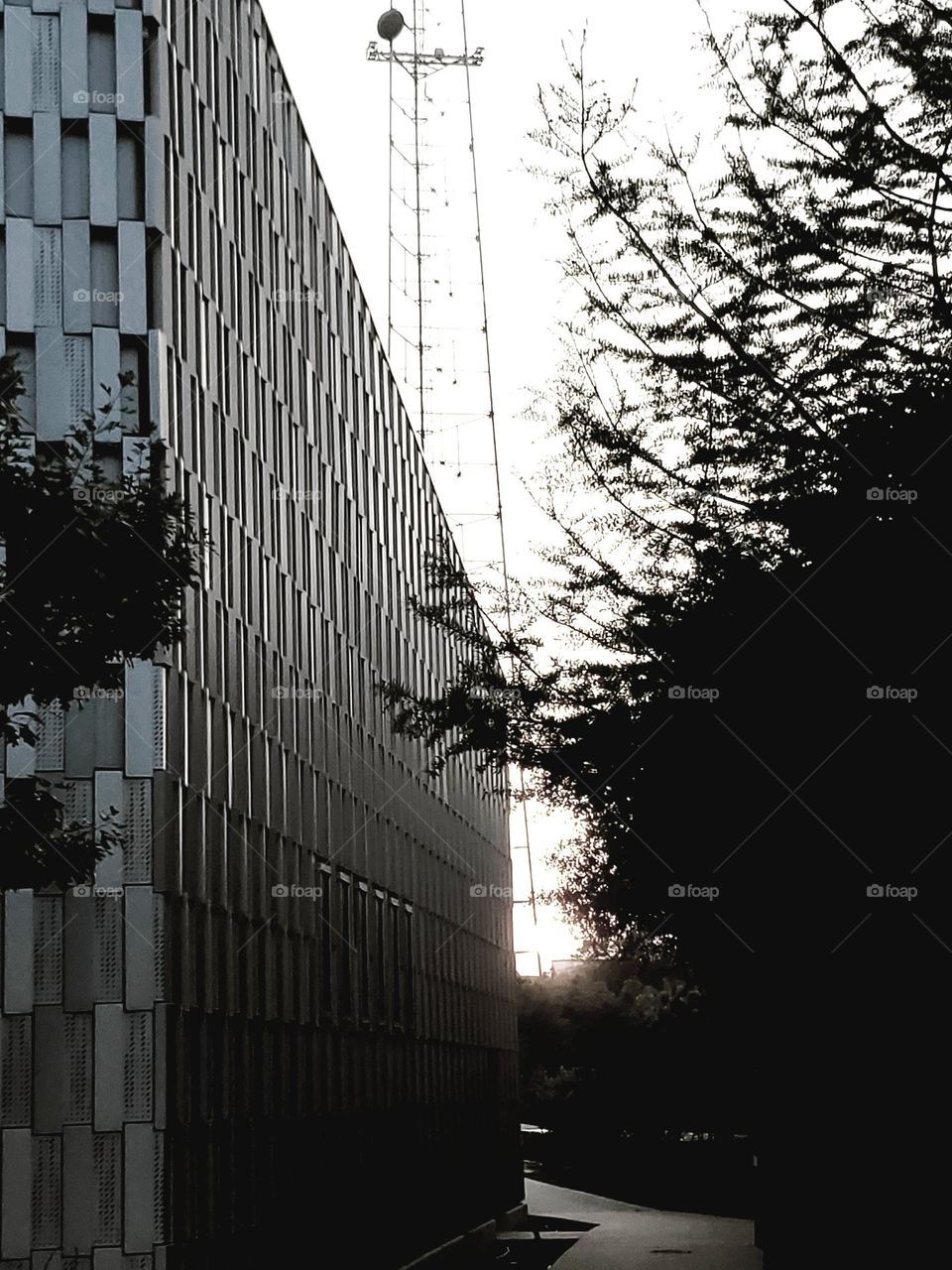 A man-made artistic metal design building on the left with a metal radio tower in the background. On the right we have silhouettes of nature with the sun setting in the background. An interesting perspective on polarity.