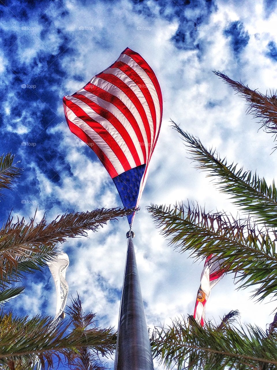Our Freedom Semper Fi. Captured this beautiful image of the American Flag blowing elegantly at the local library.  As a Marine Corp Disabled Veteran our flags move me every time I see them.  