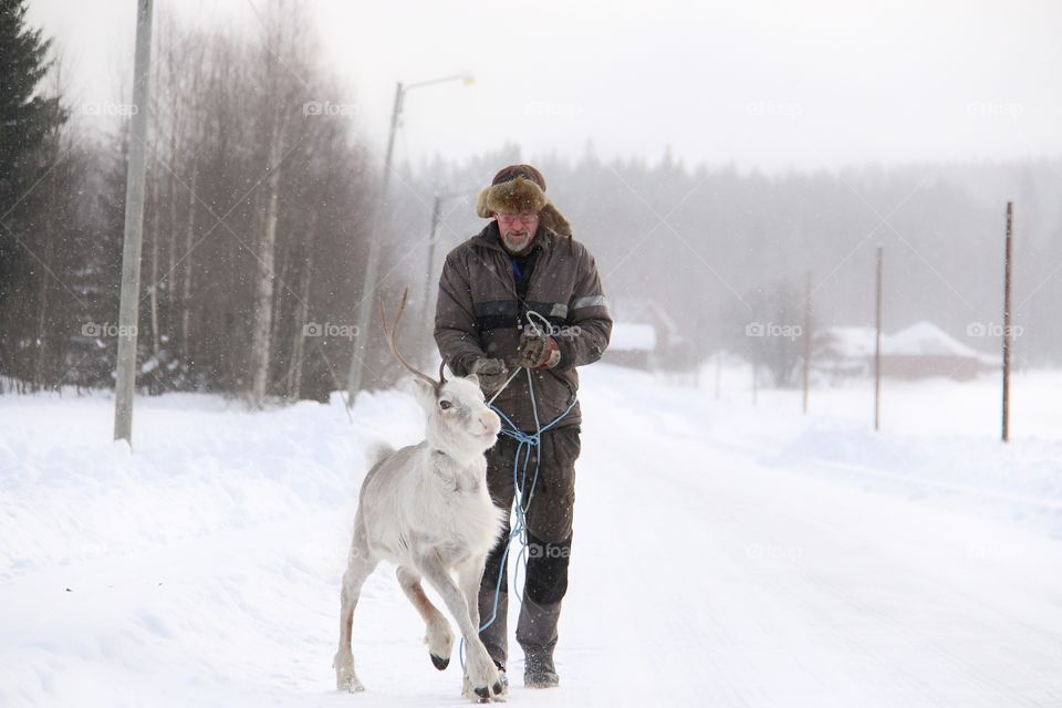 old man with reindeer