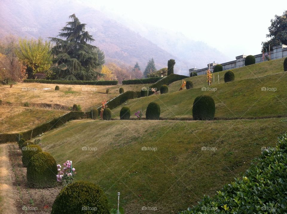 Layers of Lawn Beds - Garden @ the foothills of the Himalayas