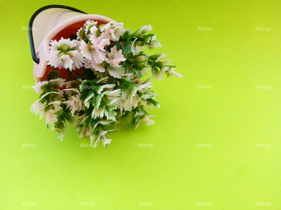 flowers in a bucket on a green background