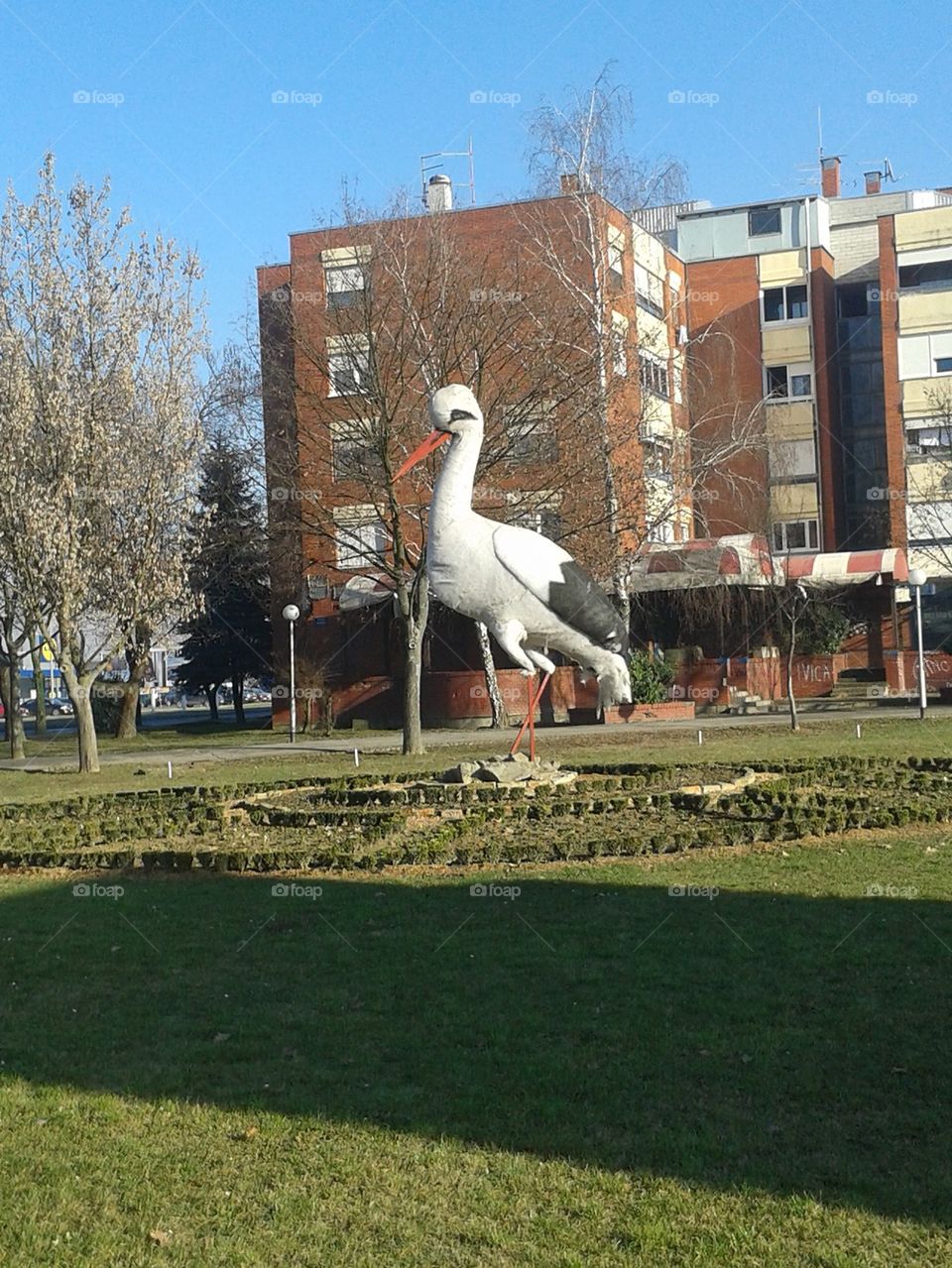 giant stork