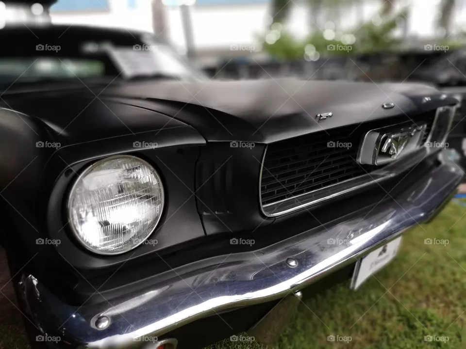 Mustang