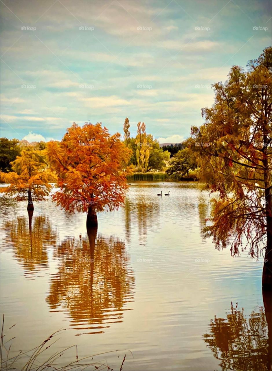 Autumn and reflection 