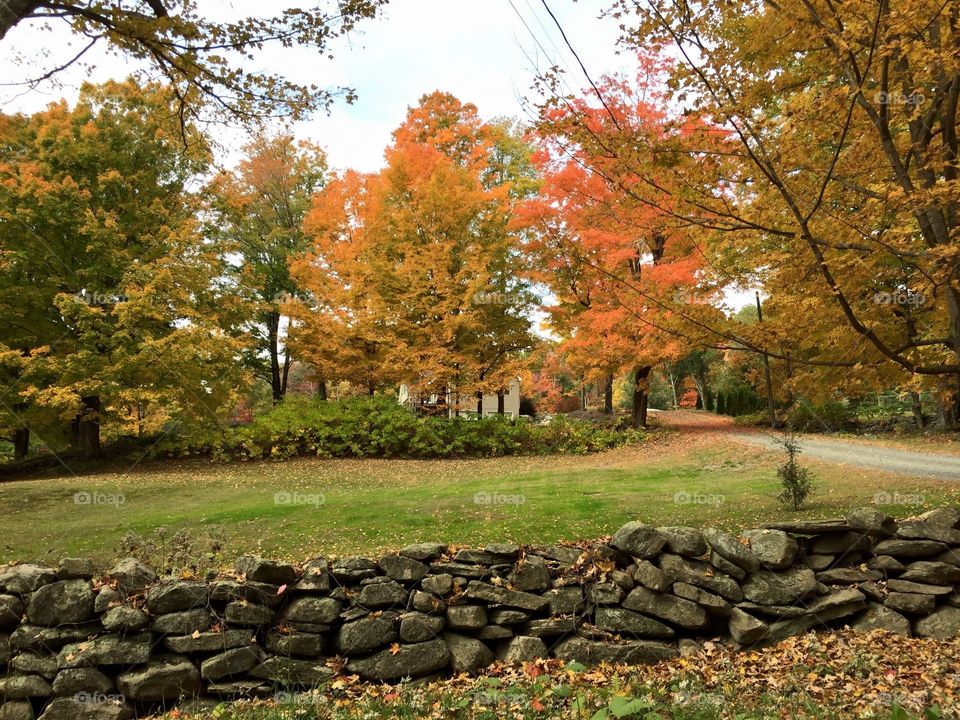 Fall in Massachusetts 