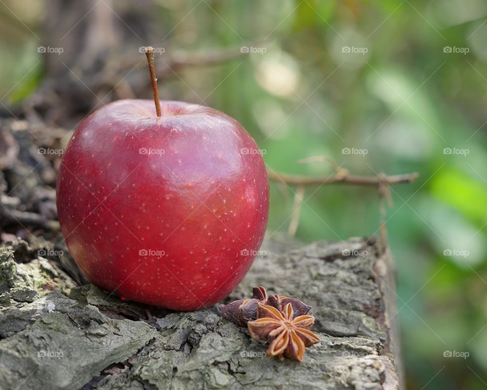 Apple and star anise