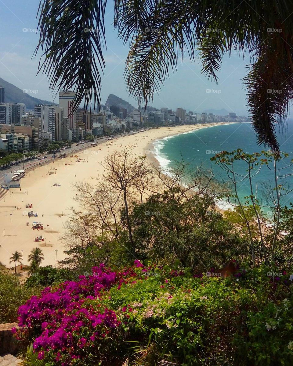 spring time in Rio de Janeiro