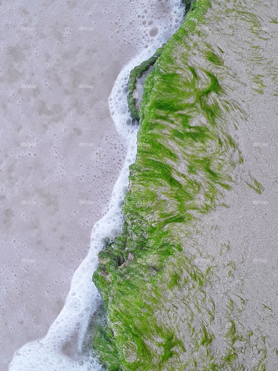 water and time are powerful even over a stone, but the green color always transforms any composition, silt on a stone