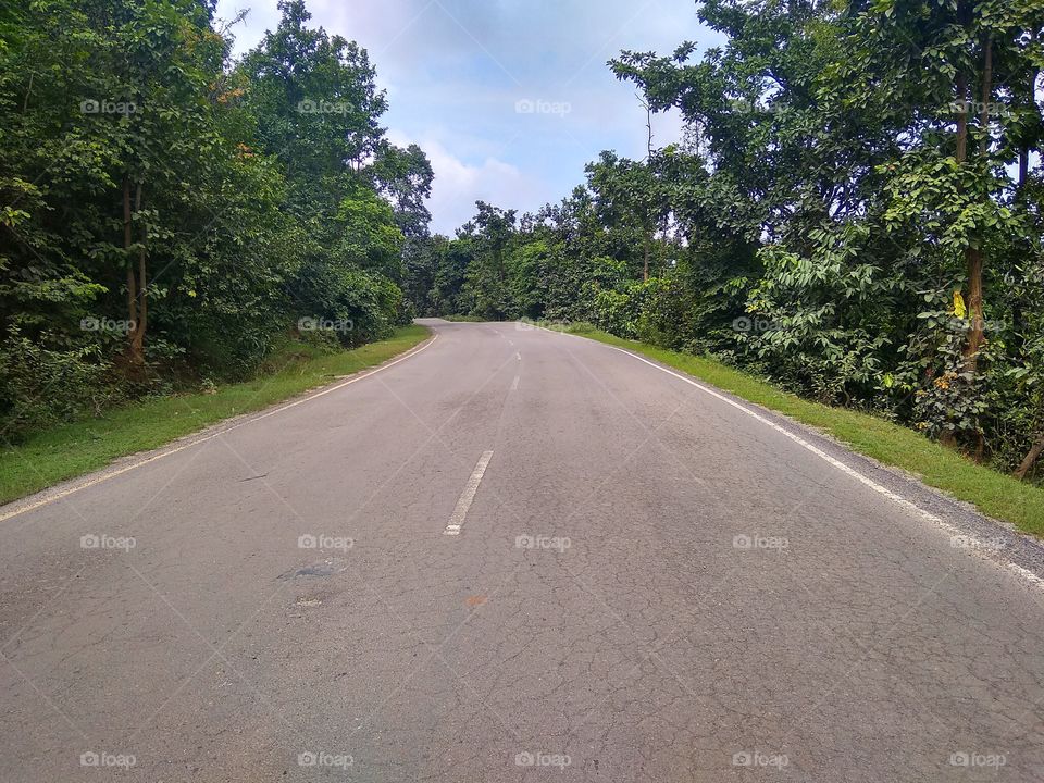 A national highway of India passes through a deep forest