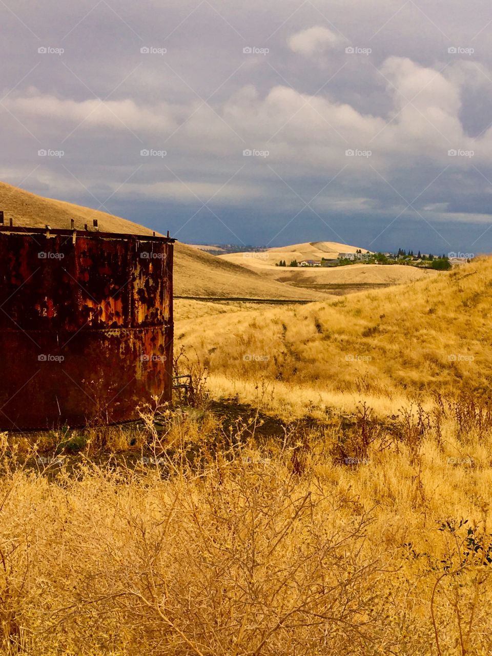 Rustic water tank in field