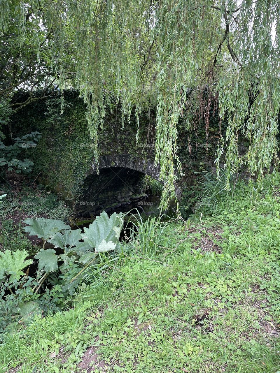 Beautiful stone bridge 