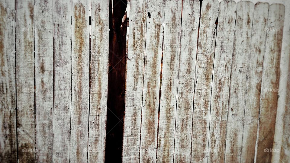 Walking along and ran into this mismatched decaying fence, Thought I'd share