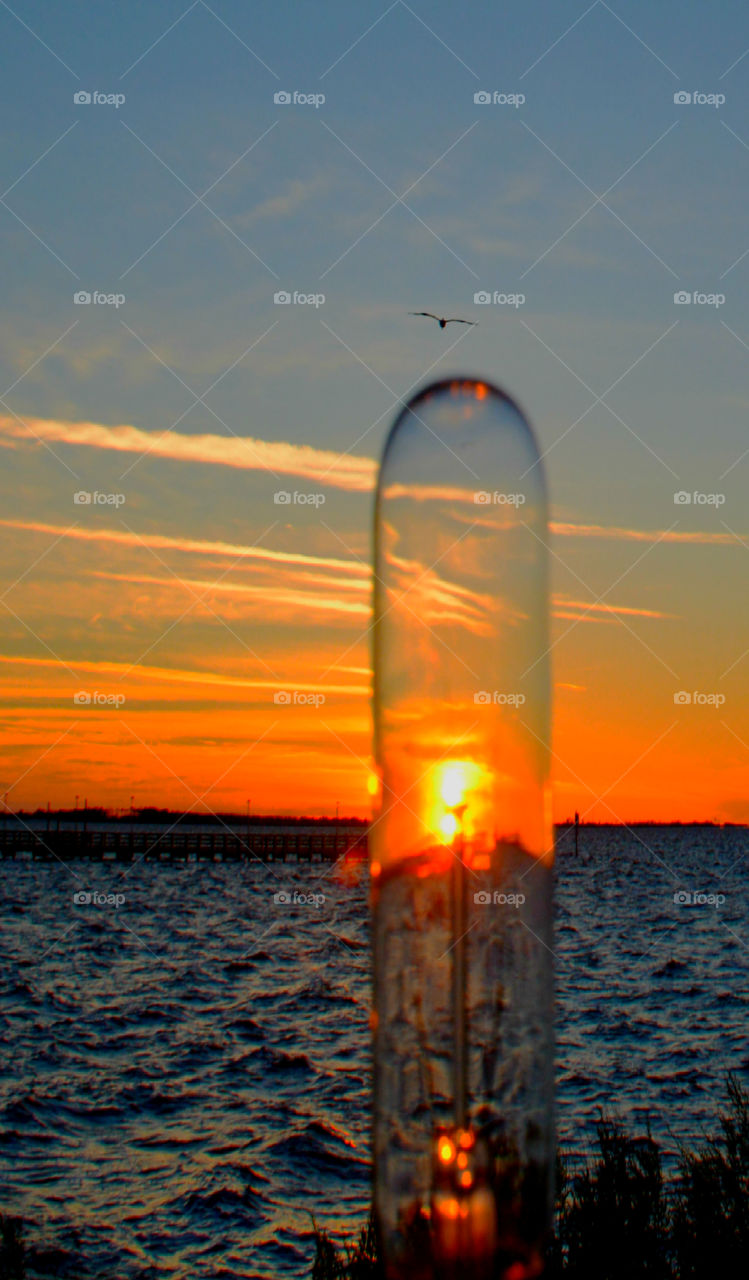 Split Power over the Choctawhatchee Bay!
Pelican soars over in the brilliant sunset!