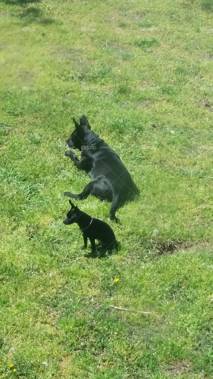 Violeta & Daisy