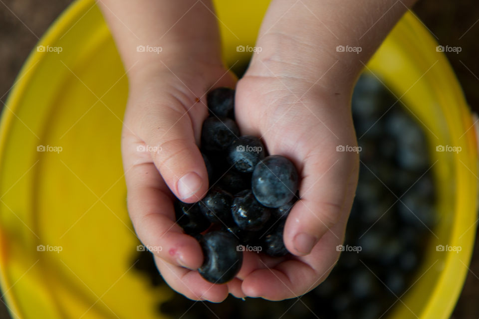 Handful of blueberries 