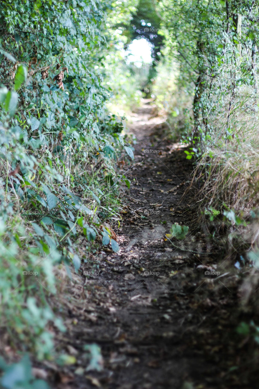 Natural tunnel 