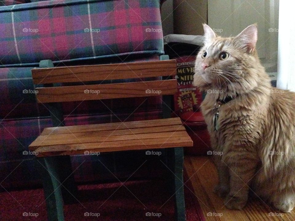 Ghosty and Cher bench 