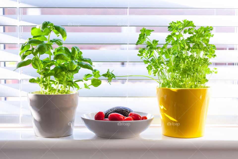 Homegrown herbs plants on window parapet.