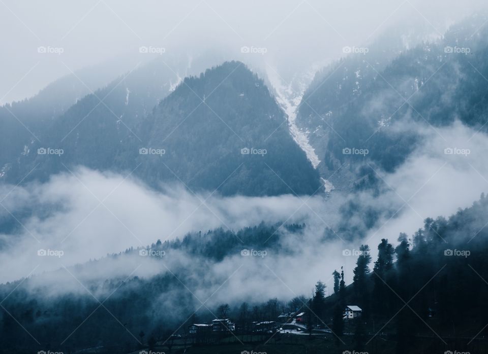 Foggy mornings at the mountains 