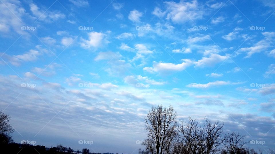 Winter Sky