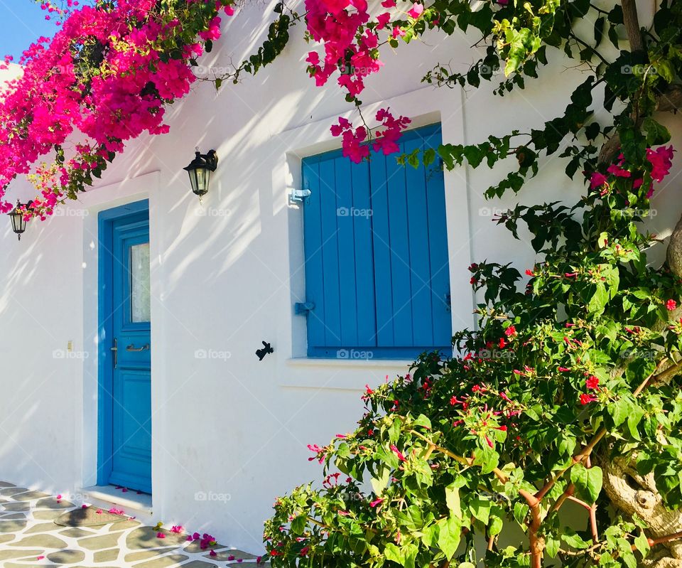 Greek Island, white buildings with blue shutters and pink flowers