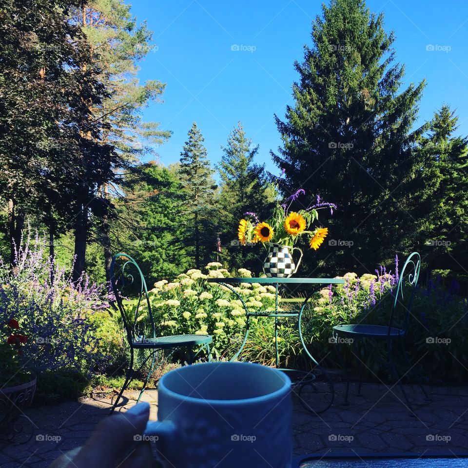 Morning Coffee ☕️ 
Skaneateles, New York