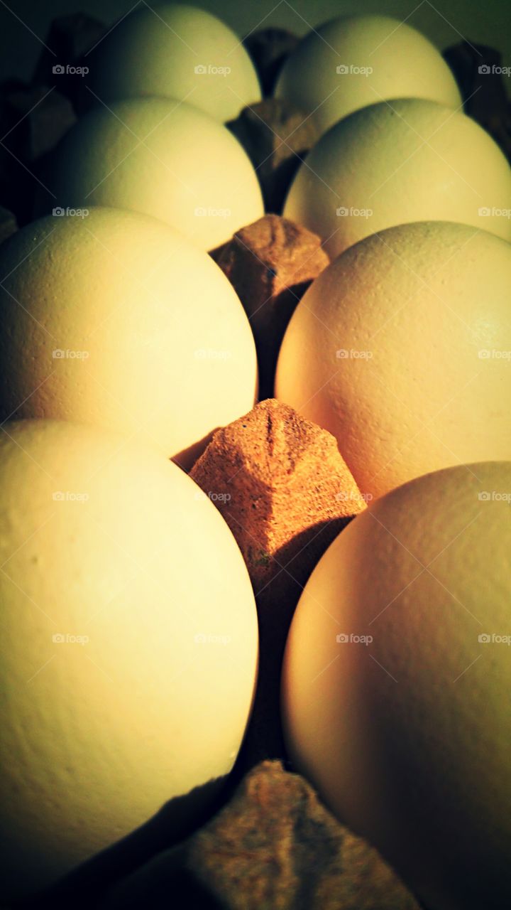Eggs in a Carton