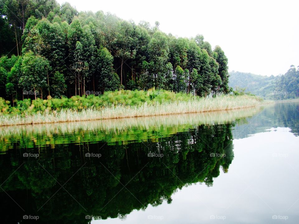 Reflection in the lake
