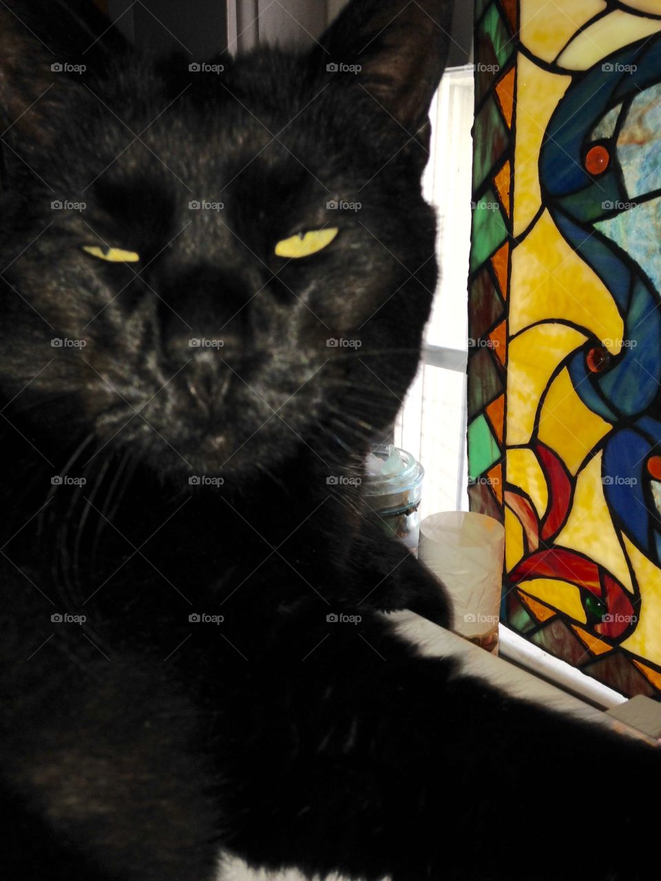 Cat Sitting Near Stained Glass Window
