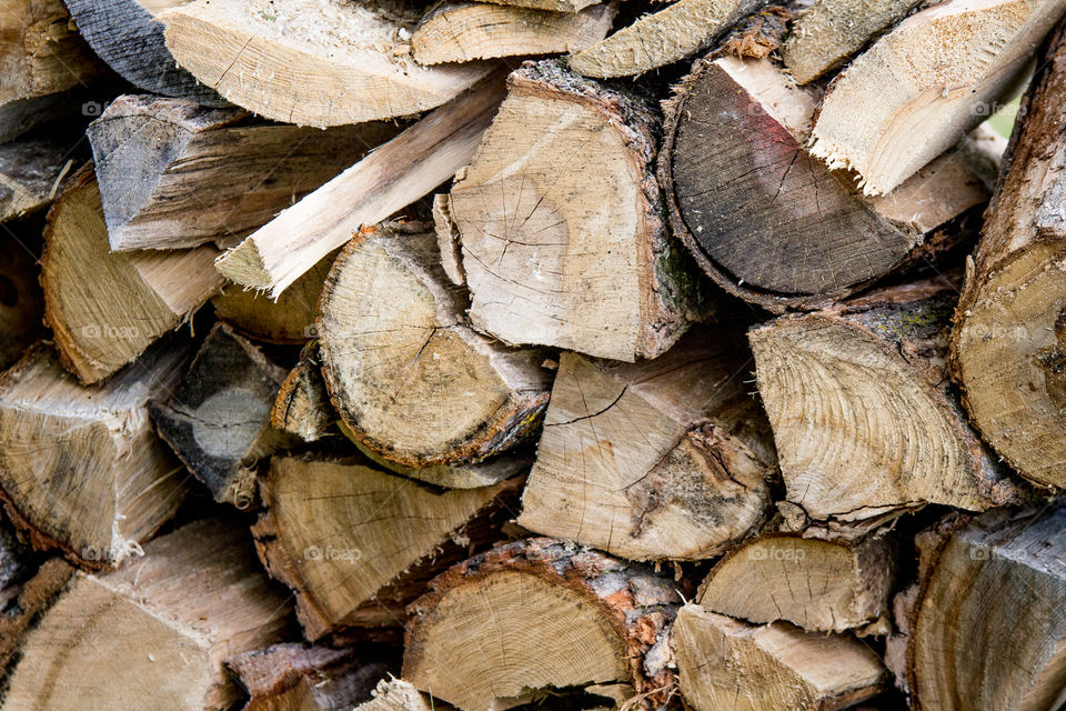 Firewood . Camping in the Northwoods of Minnesota
