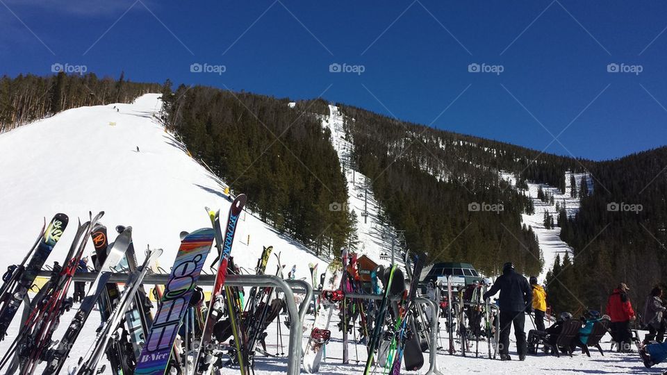 Bluebird Day