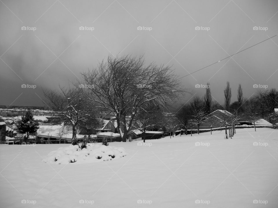 winter wonderland views