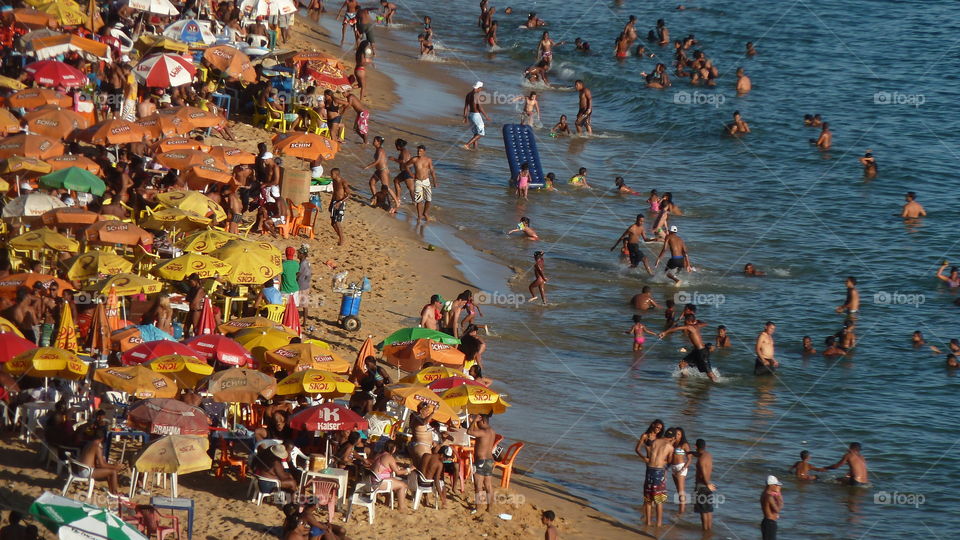 beach of Salvador de bahia