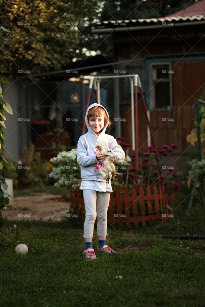 A little girl in her arms tucks a chicken in the courtyard of a house in the country