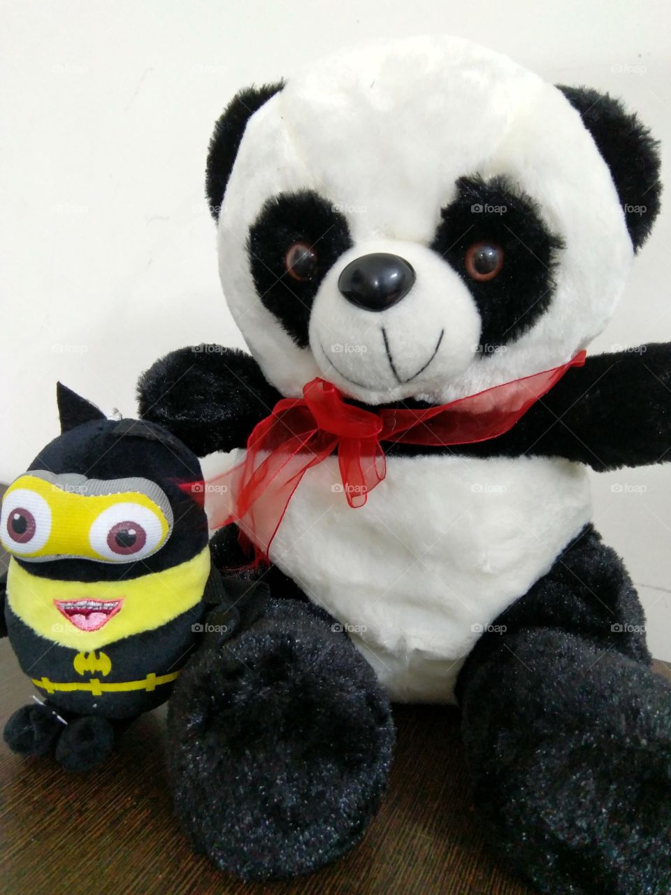 teddy with his frnd