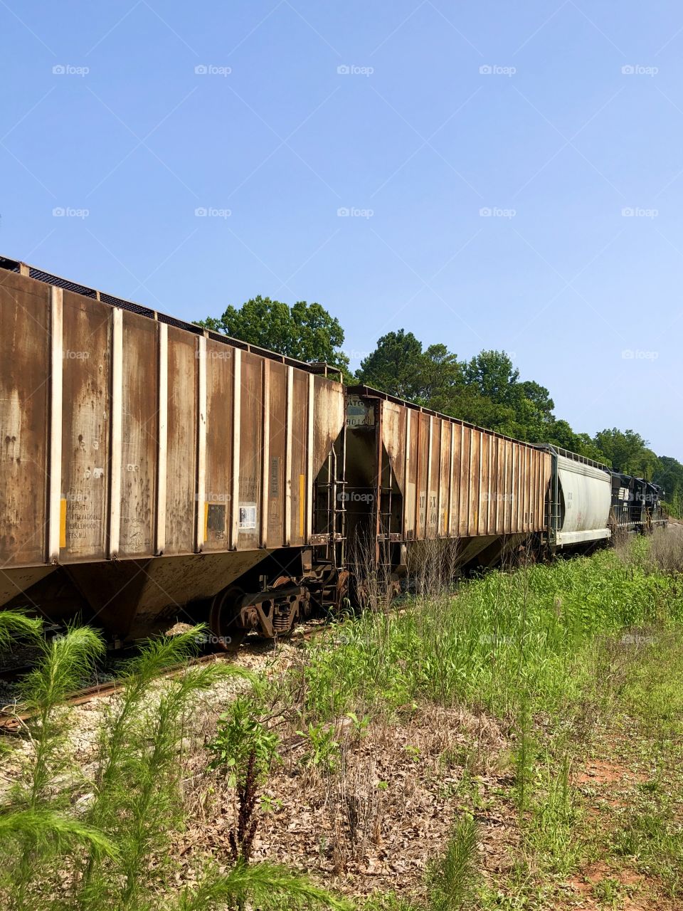 Old train cars parked on overgrown defunct railroad tracks 
