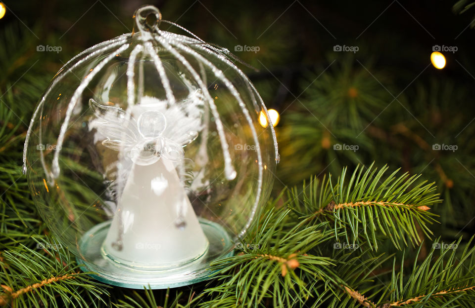 Christmas, Pine, Decoration, Winter, Tree