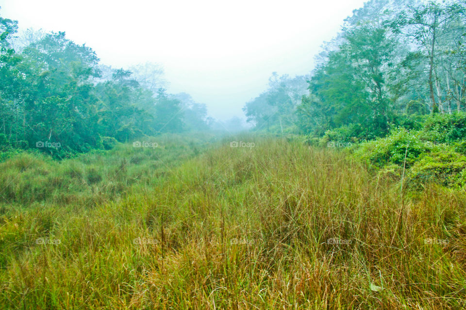 Chitwan national park, Nepal