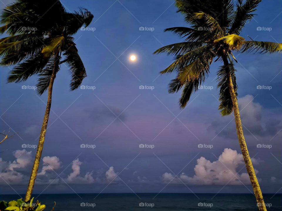 moonlight on the beach