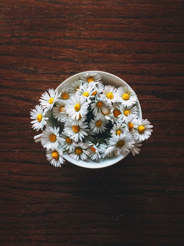 Daisies