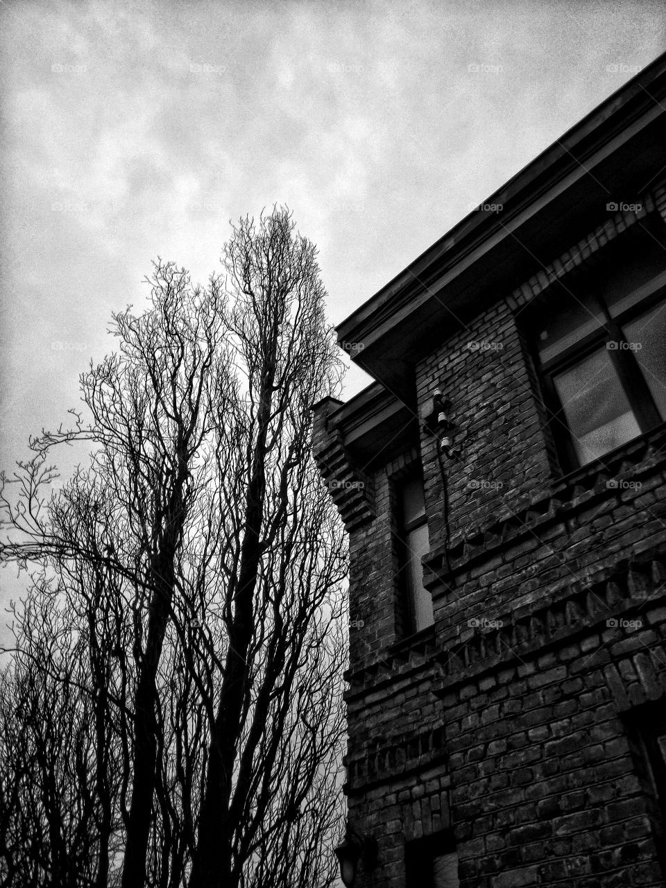 "The most colorful thing in the world is black and white, it contains all colors and at the same time excludes all."
~ Vikrmn, 10 Alone