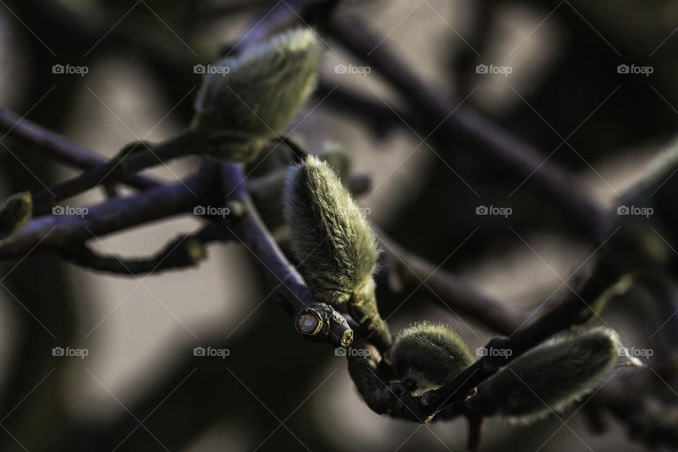 were everything comes too life