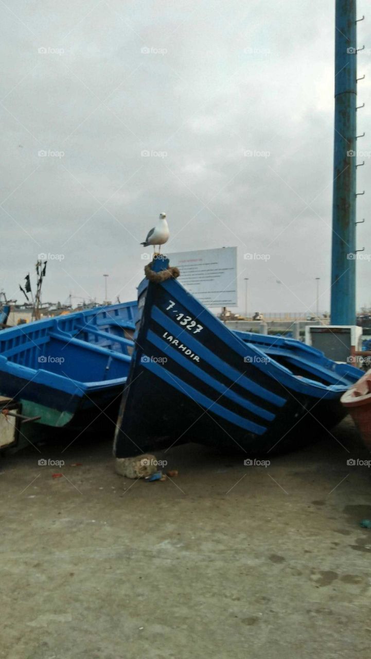 Beautiful blue boats in harbour.