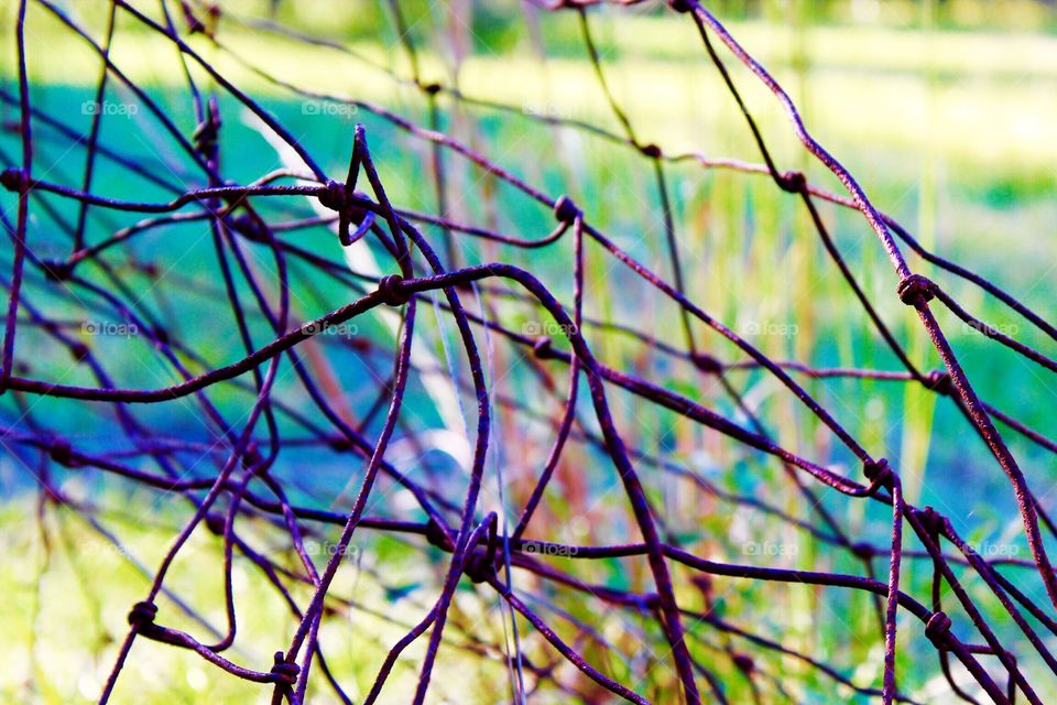 Rusty fence