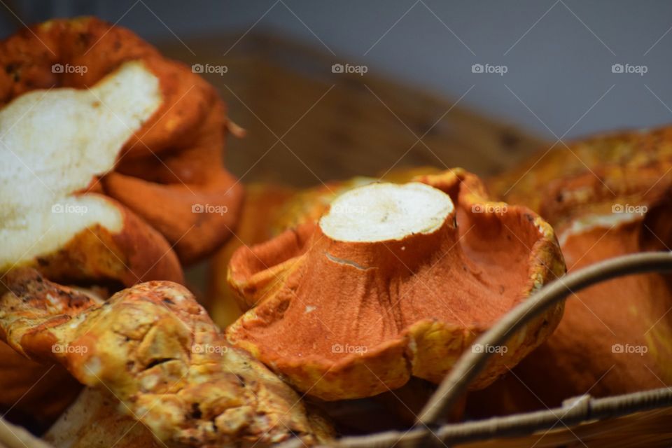 orange mushroom