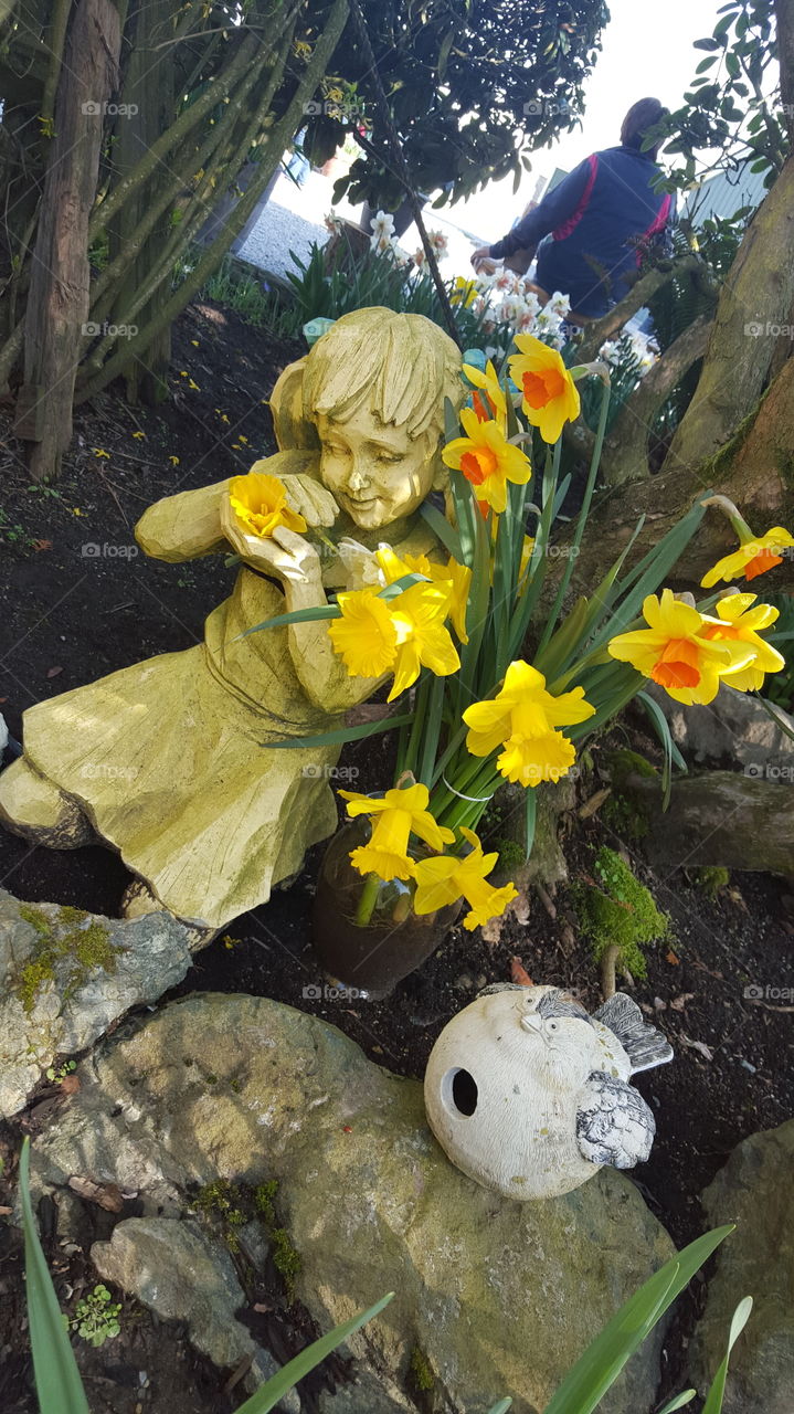 daffodils statue