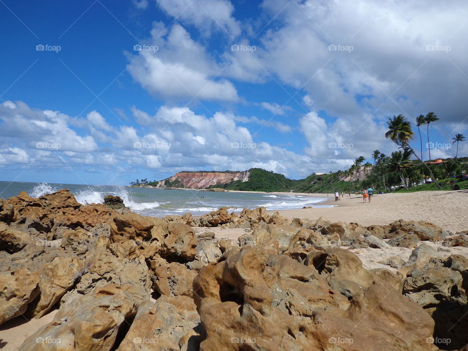 beautiful view rock. beach of Paraíba Brasil.