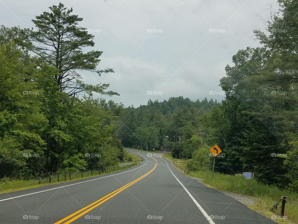 Road, Asphalt, Tree, No Person, Guidance