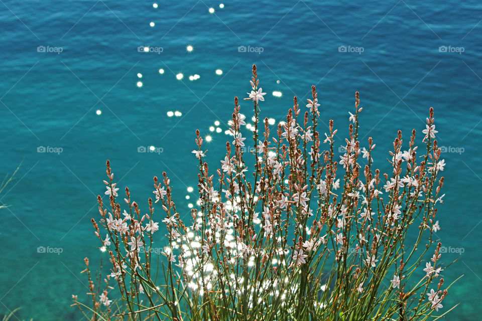 Sun reflection on the sea