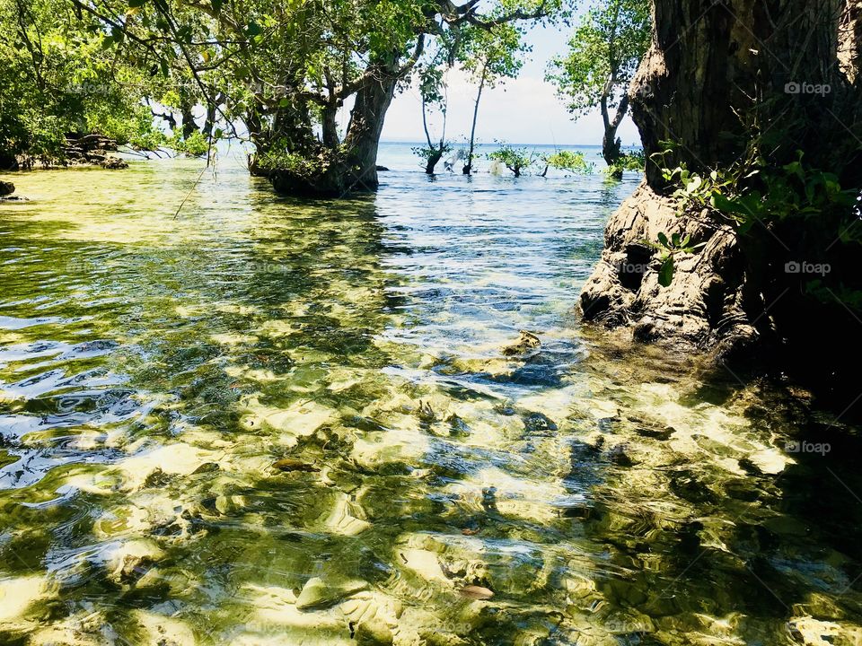 Crystal clear water of Mindanao 